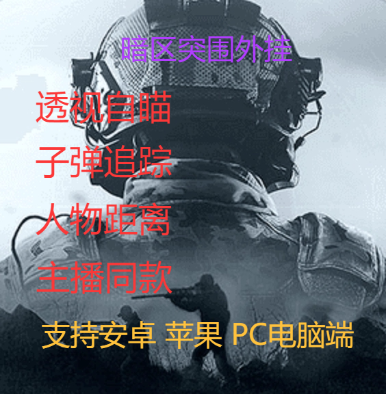  - 暗区突围辅助实战效果展示